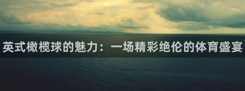 yy易游官网下载招商电话地址：英式橄榄球的魅力：一场