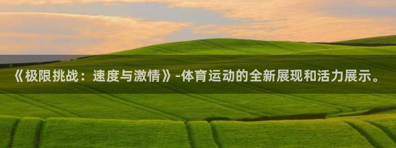 yy易游官网下载是干嘛的公司：《极限挑战：速度与激情
