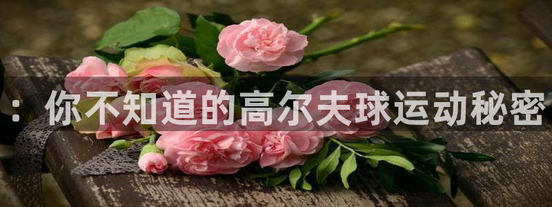 yy易游官网下载招商电话是多少啊：：你不知道的高尔夫球运动秘