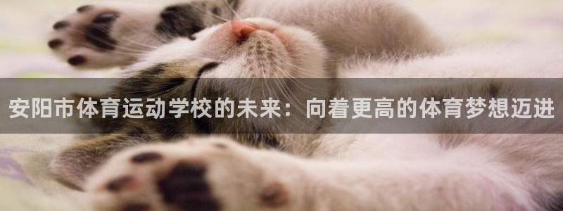 yy易游官网下载娱乐：安阳市体育运动学校的未来：向着更高的体