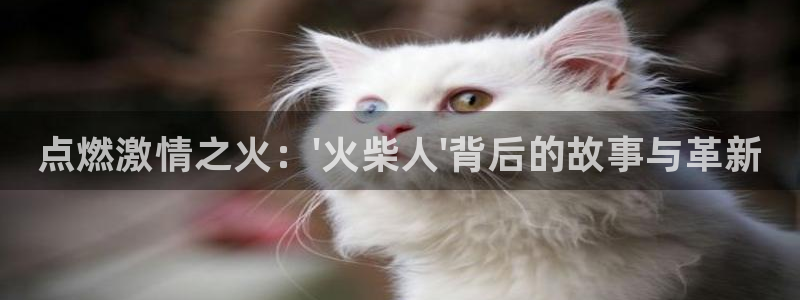 注册yy易游官方正版app：点燃激情之火：\'火柴人