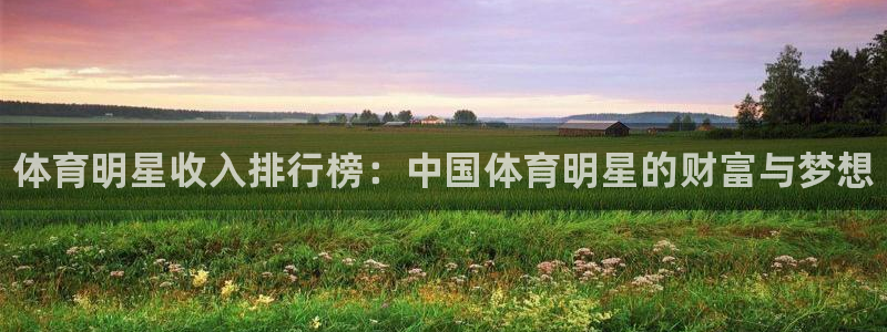 yy易游官网下载招商电话是多少啊：体育明星收入排行榜：中国体