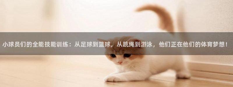 注册yy易游官方正版app：小球员们的全能技能训练：从足球到