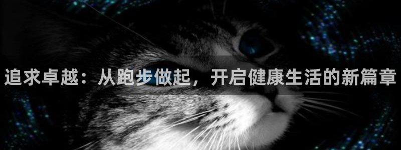 yy易游官网下载平台是正规平台吗