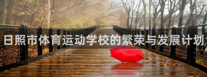 yy易游官网下载软件：日照市体育运动学校的繁荣与发展计划