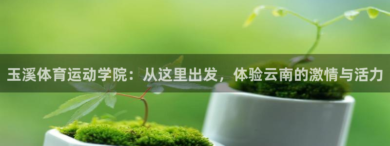 yy易游官网下载招商电话号码是多少啊