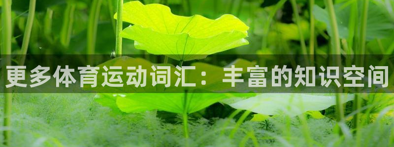 yy易游官网下载平台注册流程视频：更多体育运动词汇：
