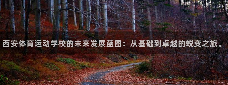 海南yy易游官网下载：西安体育运动学校的未来发展蓝图