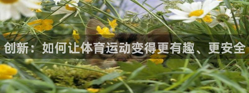 yy易游官方正版app科技：创新：如何让体育运动变得