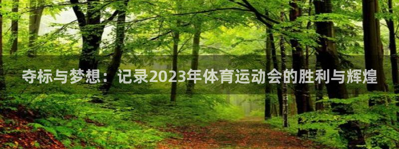 yy易游官方正版app娱乐网站：夺标与梦想：记录20
