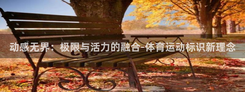yy易游官方正版app娱乐平台：动感无界：极限与活力的融合-