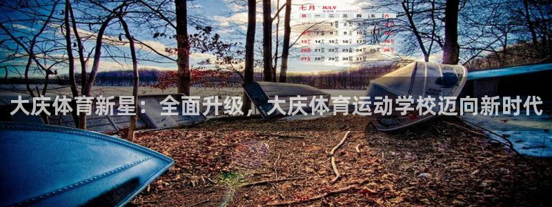注册yy易游官方正版app：大庆体育新星：全面升级，大庆体育