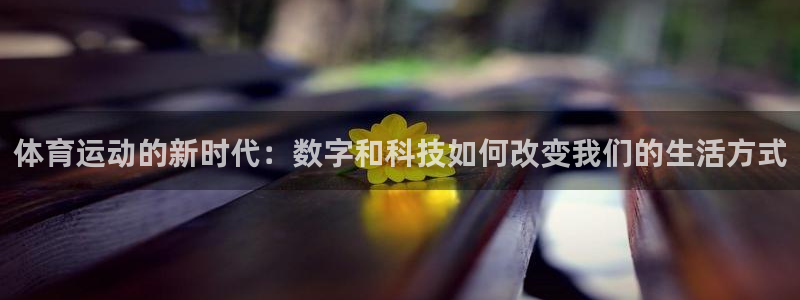 yy易游官网下载招商