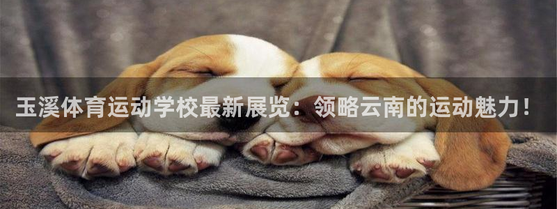 yy易游官方正版app娱乐首页官网下载：玉溪体育运动学校最新