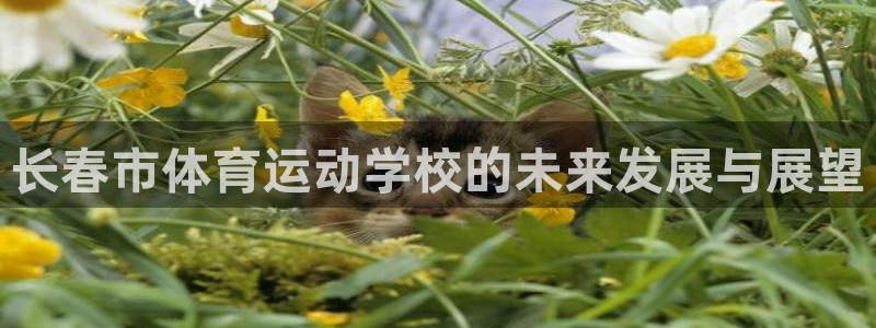 yy易游官网下载招商电话地址查询：长春市体育运动学校的未来发