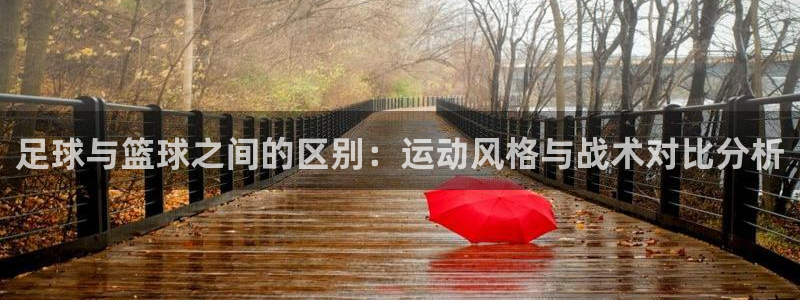 yy易游官网下载平台假的吗是真的吗：足球与篮球之间的区别：运