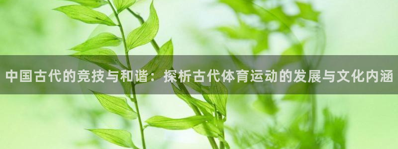 yy易游官方正版app集团官网网址