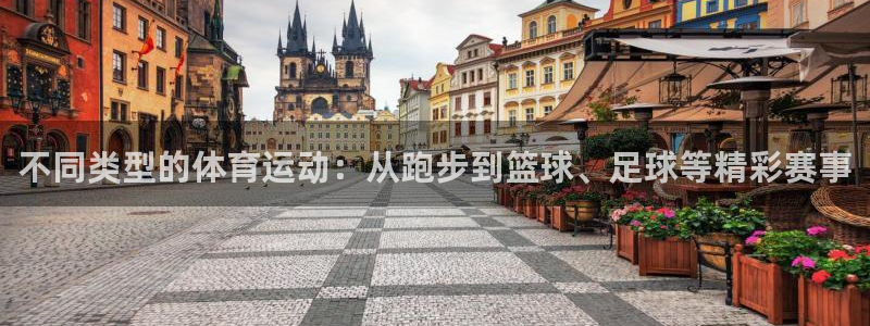 yy易游官网下载招商电话号码是多少：不同类型的体育运动：从跑