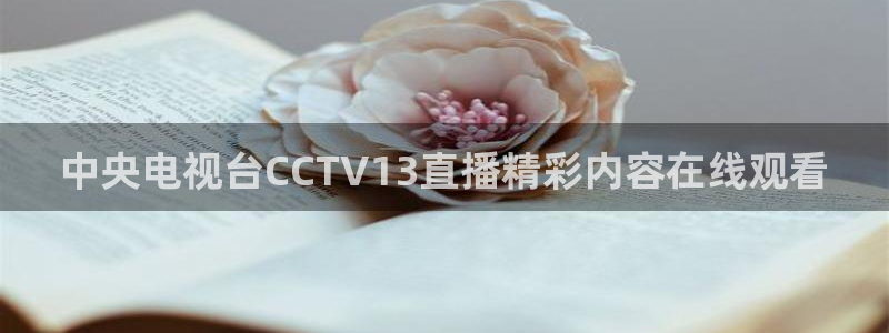 51视频在线直播nba：中央电视台CCTV13直播精彩内容在线观看